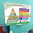 Nutritional pyramid table printed in pp (many sizes)